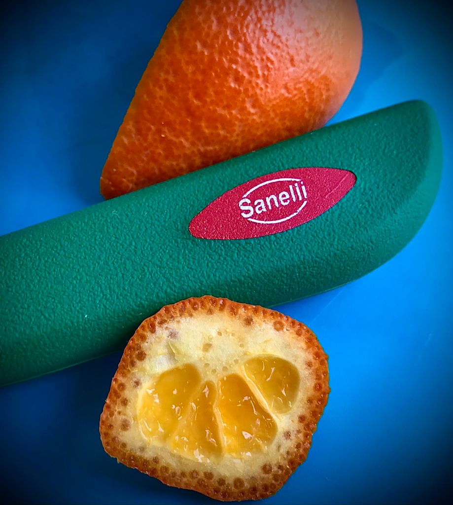 Sanelli Premana Knives